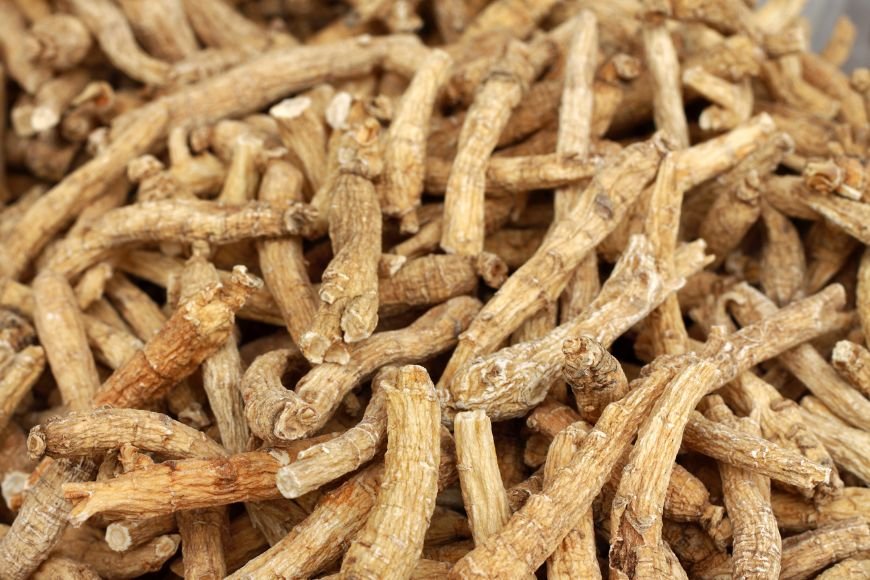 American Ginseng roots