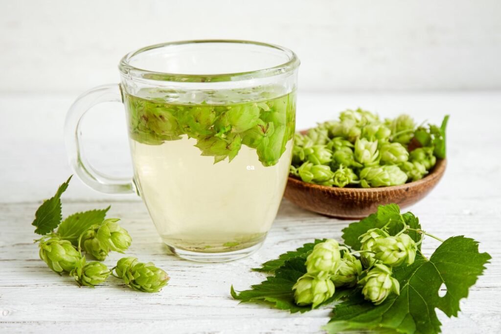 How to Make Hops Tea Successfully?