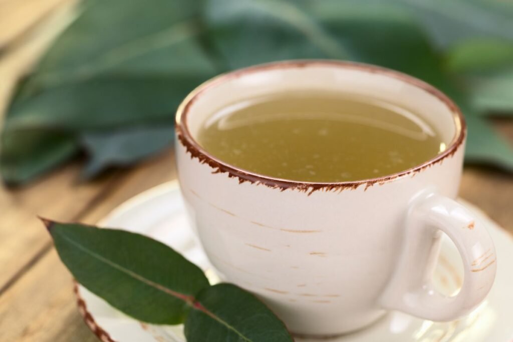 Eucalyptus Tea