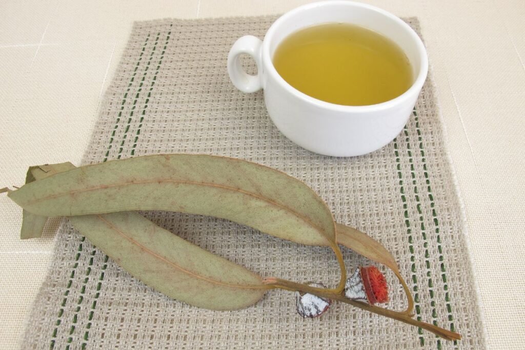 Eucalyptus Tea