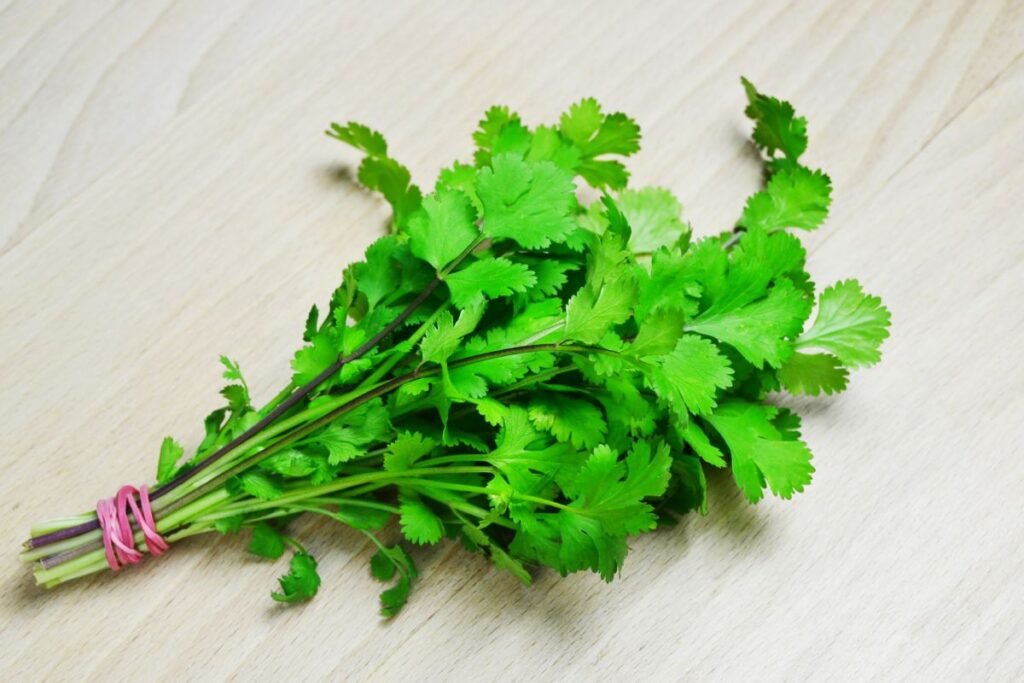 Coriander leaves for tea 