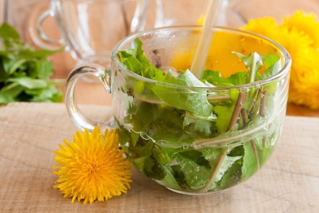 Dandelion leaf tea benefits