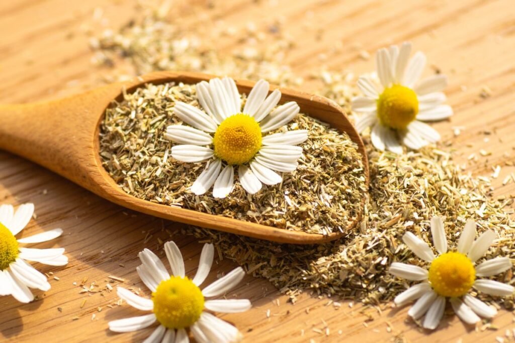 Chamomile herb