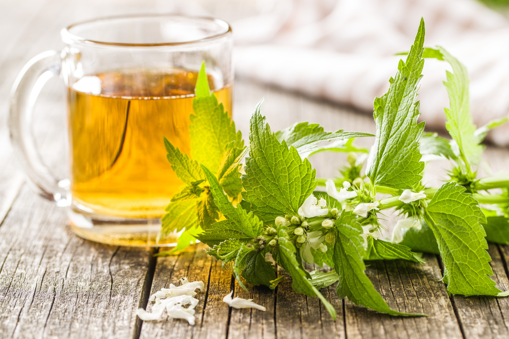 Nettle tea benefits