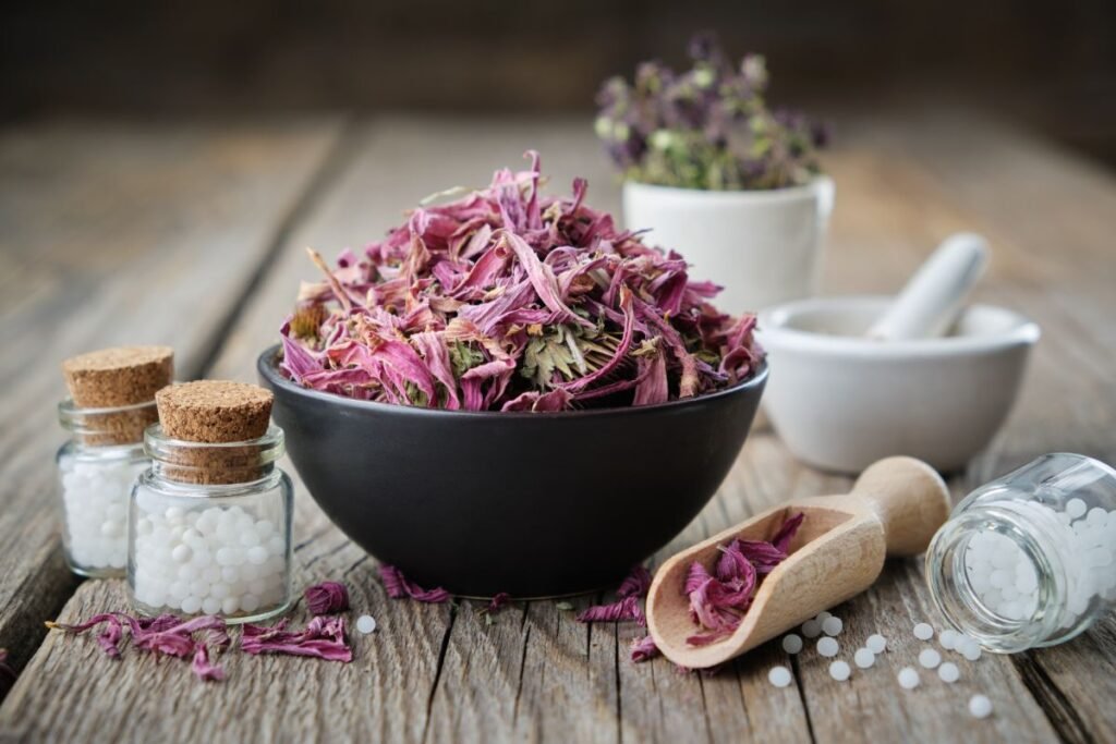 Echinacea herb harvesting