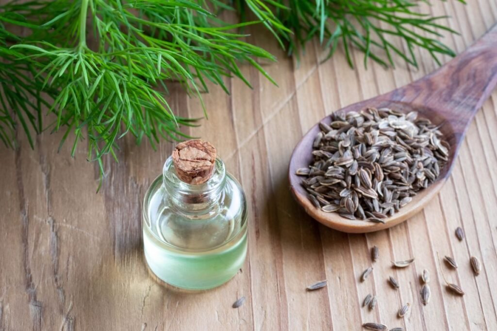 Dill decoction and oil