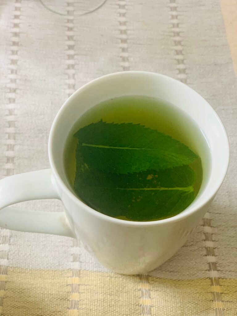 Fresh mint tea benefits