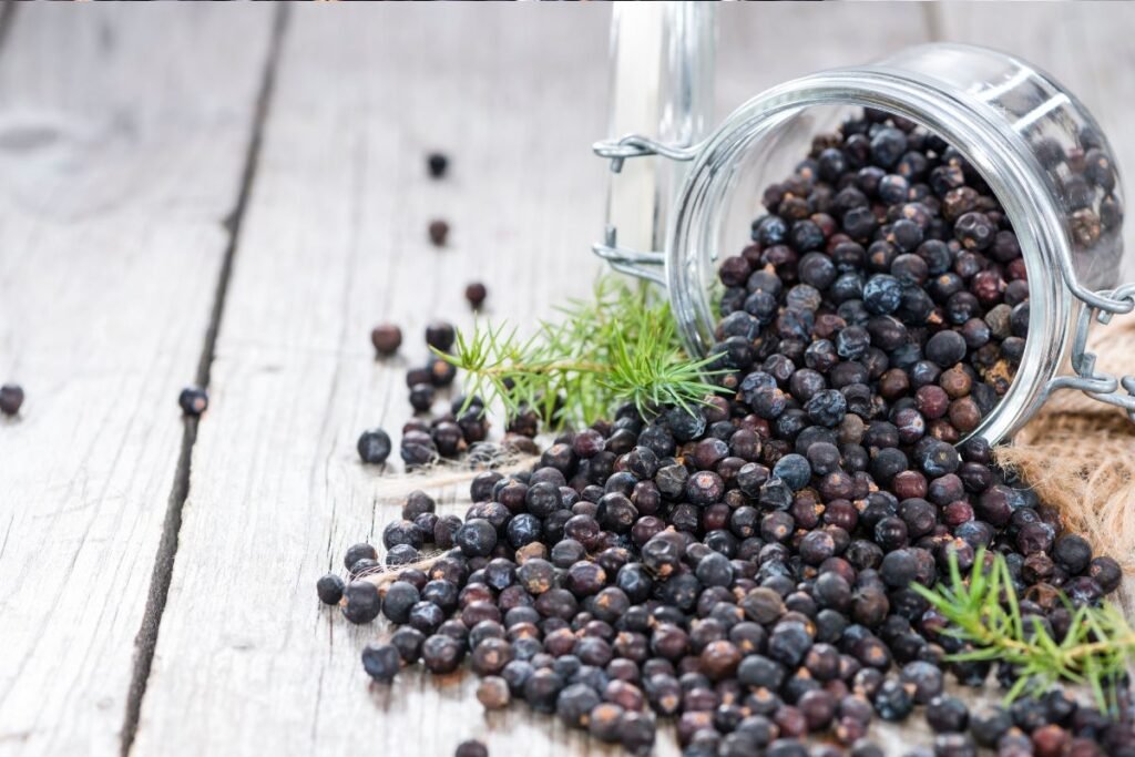 Benefits of juniper berries