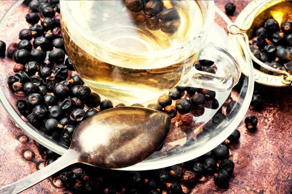 Juniper berry tea for stomach