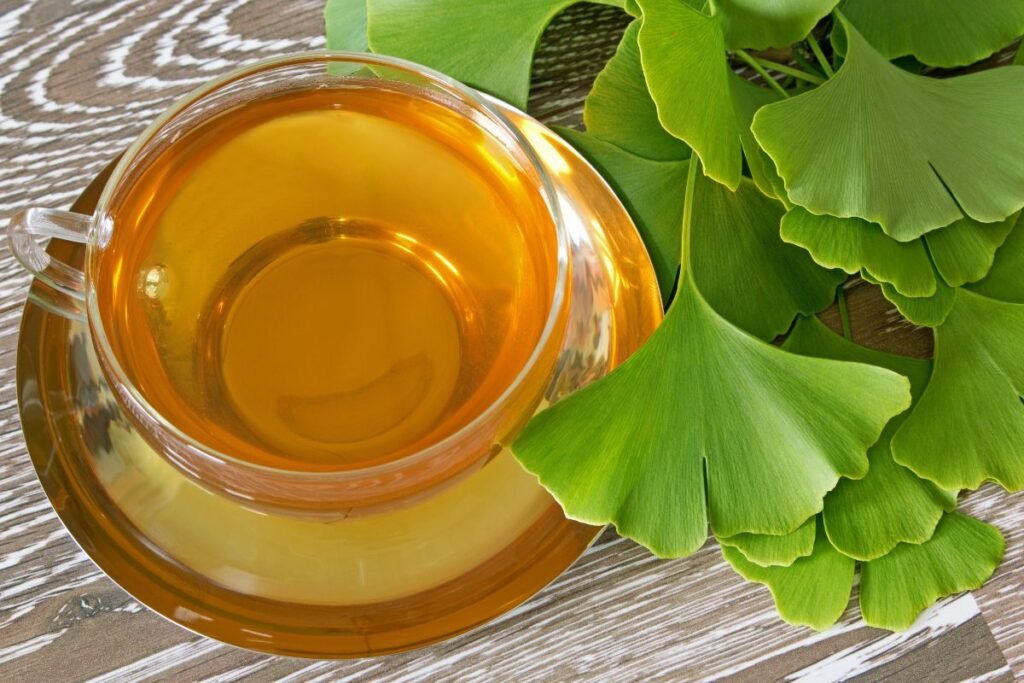 Ginko tea benefits and preparation from leaves