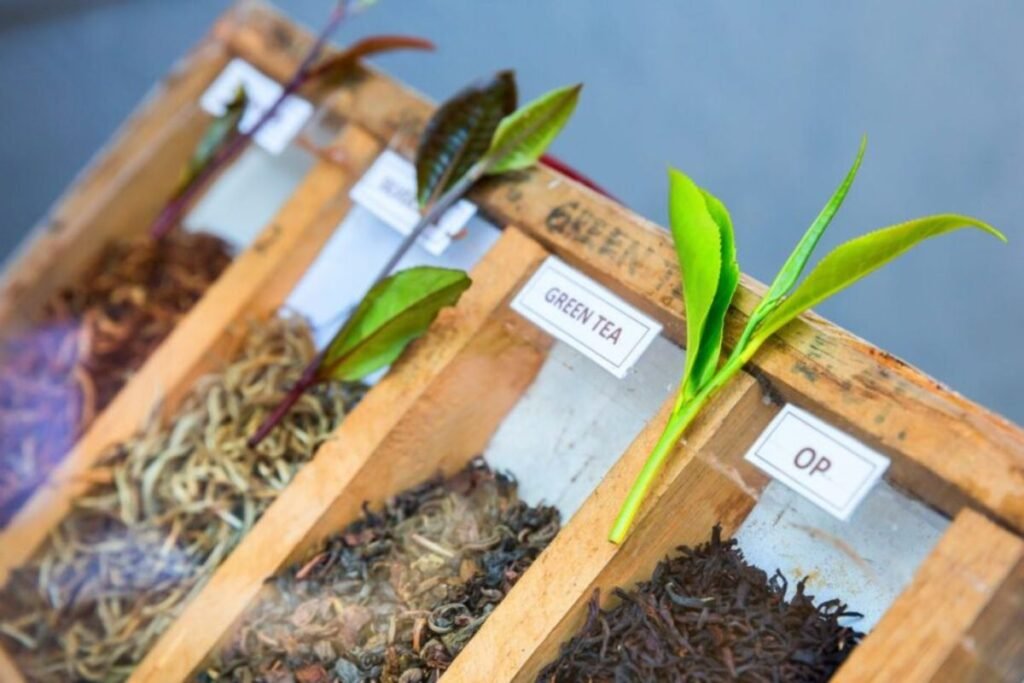 Varieties of Ceylon Tea
