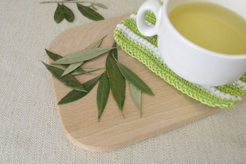 Olive Leaf Tea Benefits