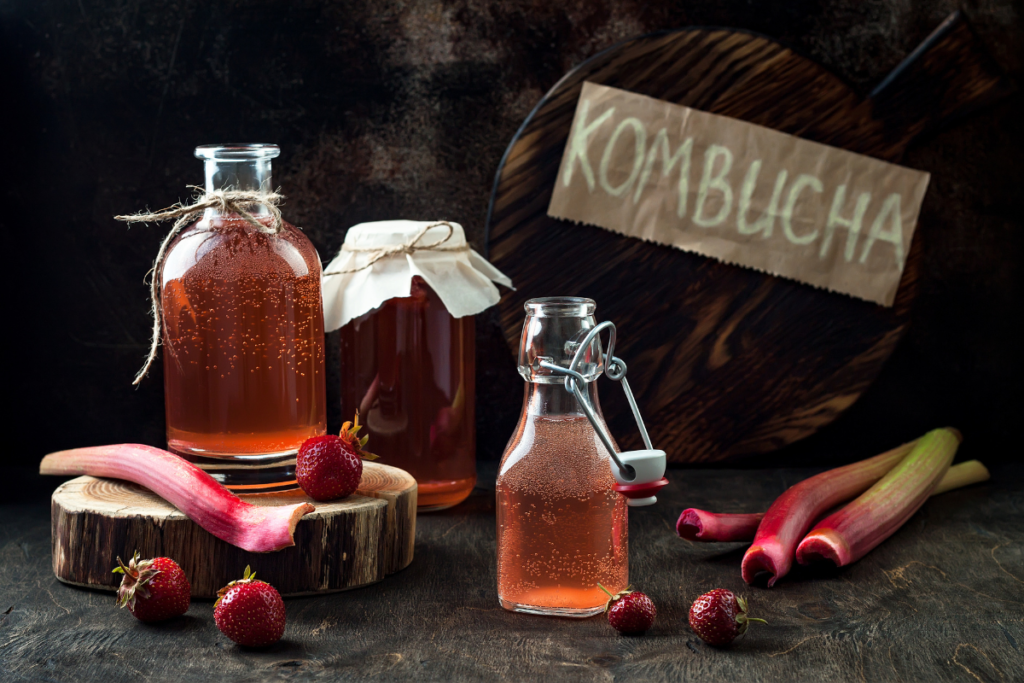 Kombucha history