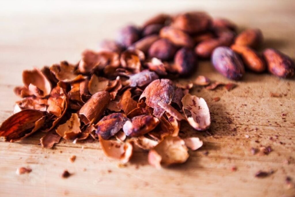 Cacao husks incorporation to daily diet
