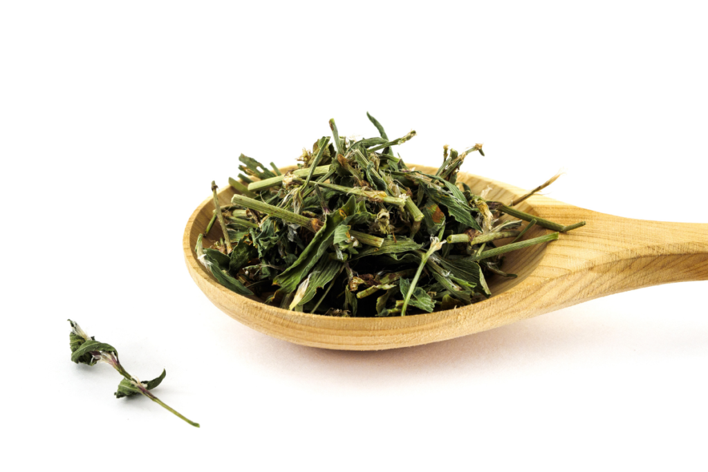 The benefits of Knotgrass tea