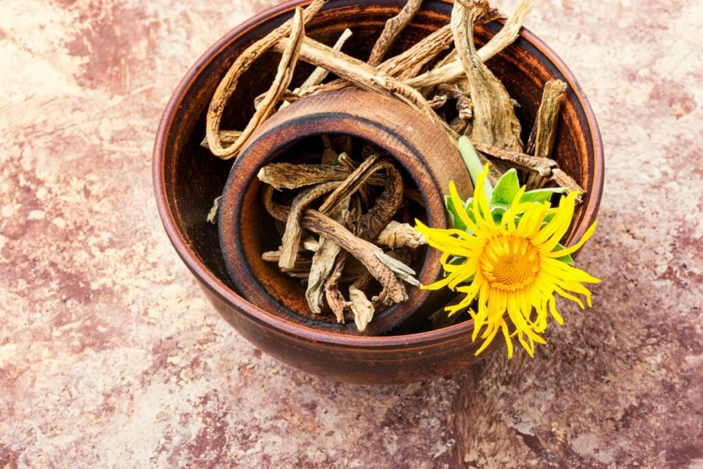 Elecampane root tea benefits and preparation