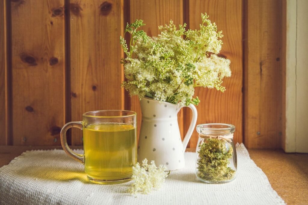 The benefits of Meadowsweet tea 