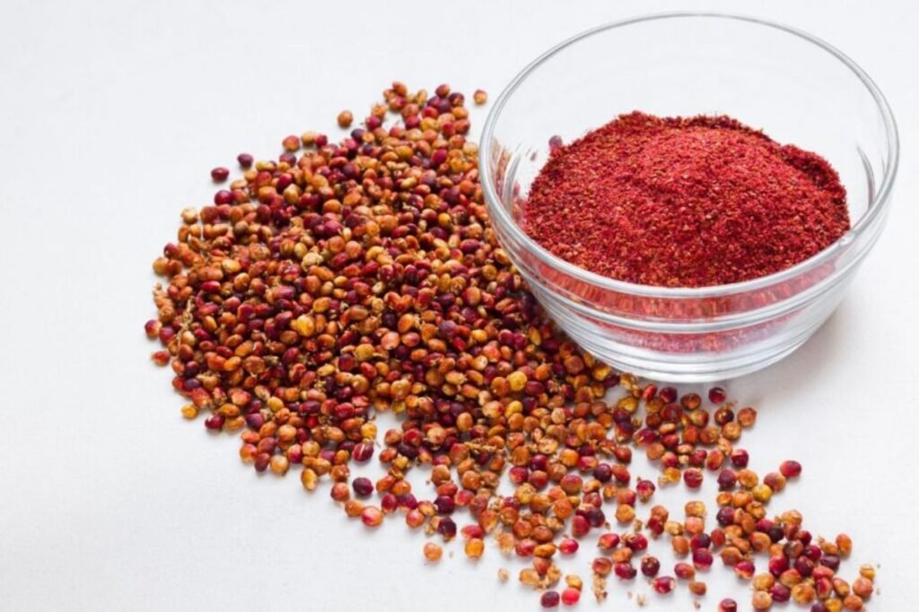 Staghorn sumac fruits for Sumac Tea
