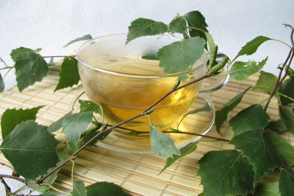 Preparation of Birch leaf tea