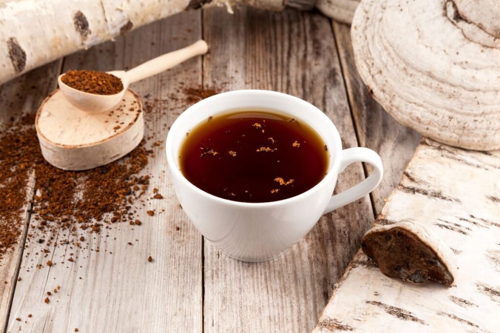 Chaga mushroom tea benefits
