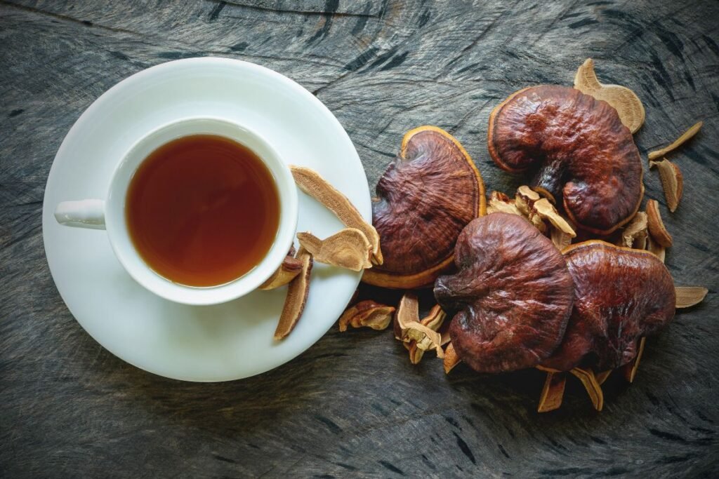 Reishi mushroom tea benefits