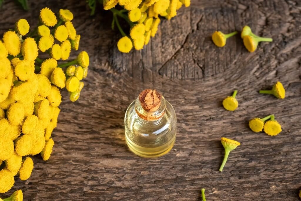 Tansy infusion