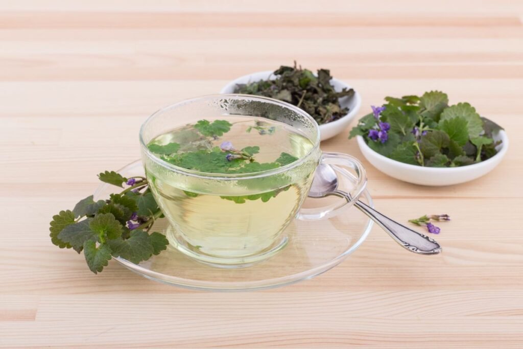 Ground ivy tea benefits