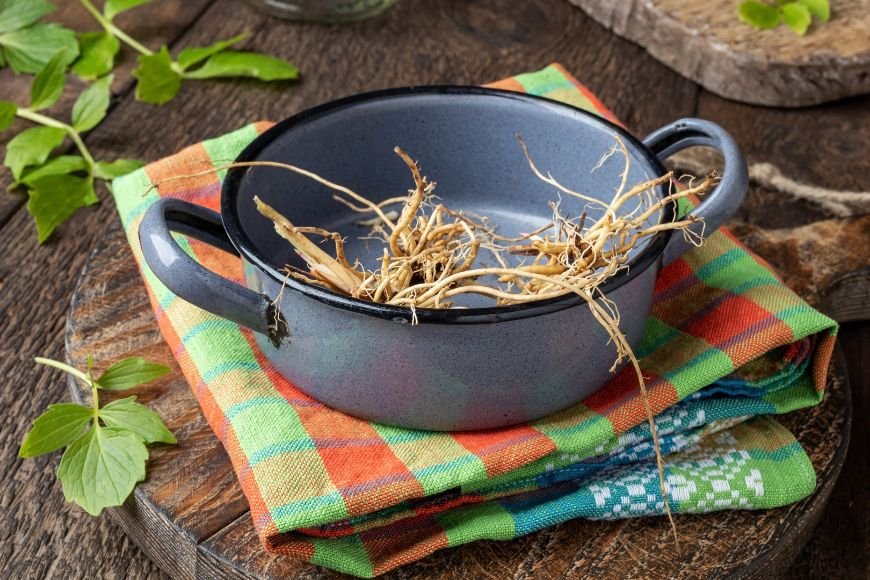 Valerian Roots in a Pot