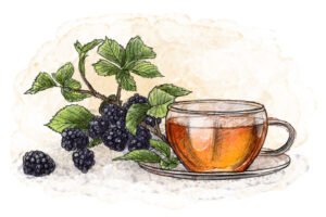 Blackberry Leaf Tea Benefits