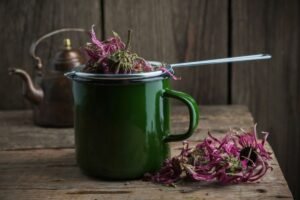 Echinacea tea