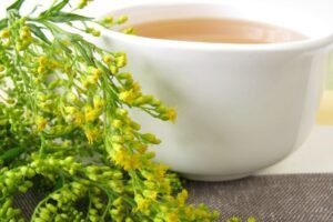 Goldenrod tea benefits