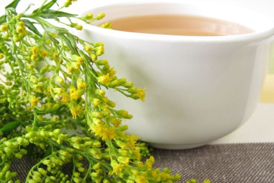 Goldenrod tea benefits