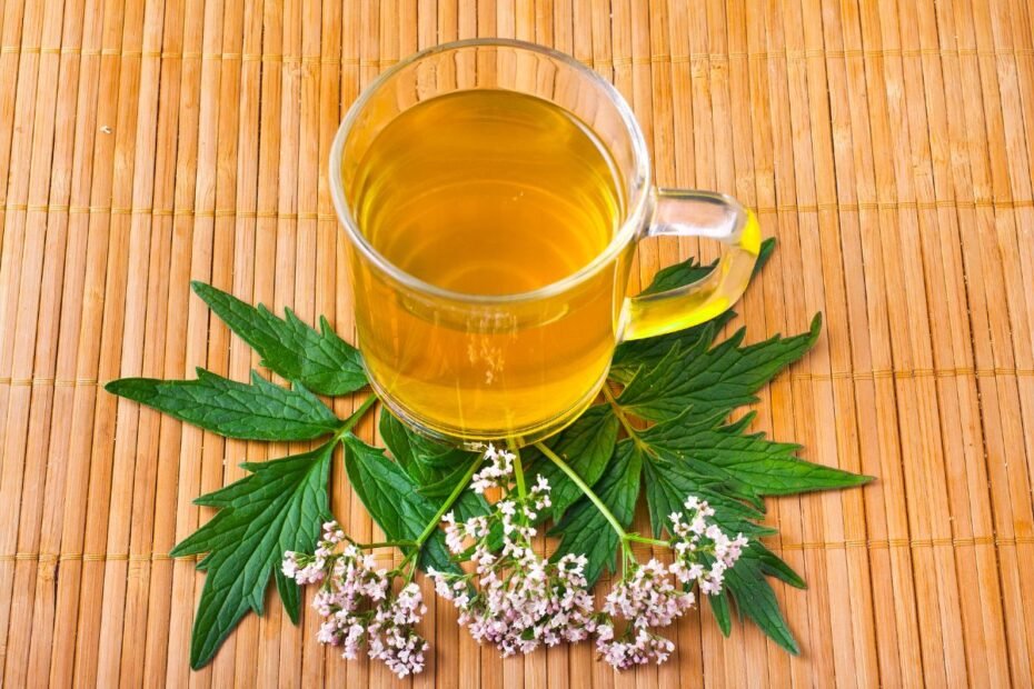 Valerian flower tea benefits