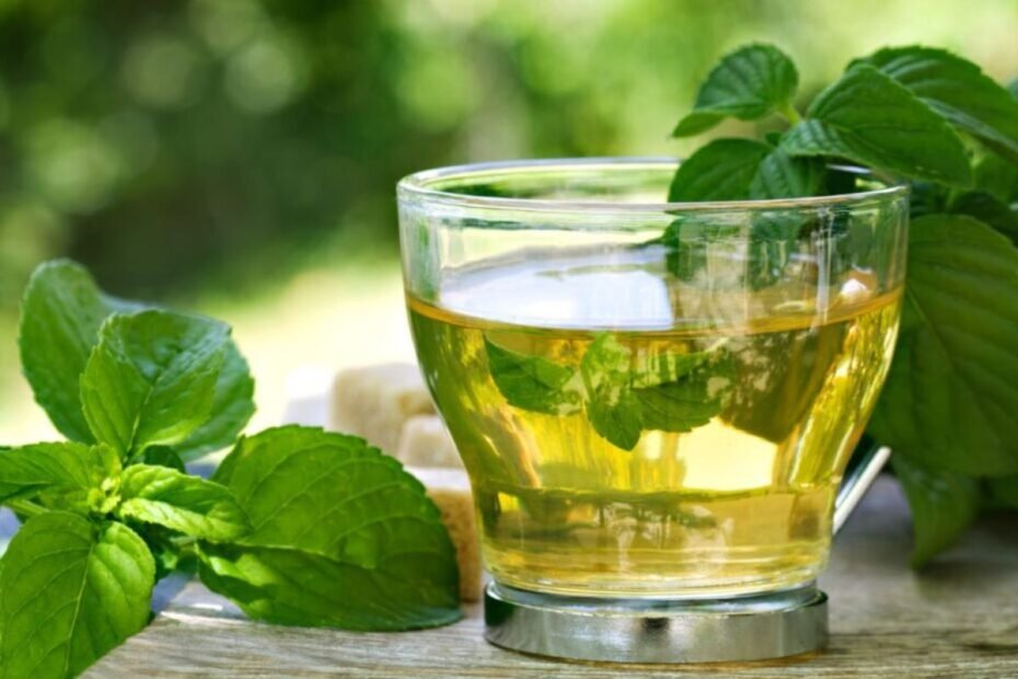 Spearmint tea