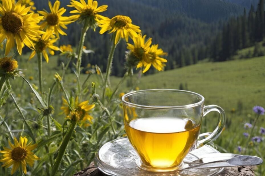 Arnica tea