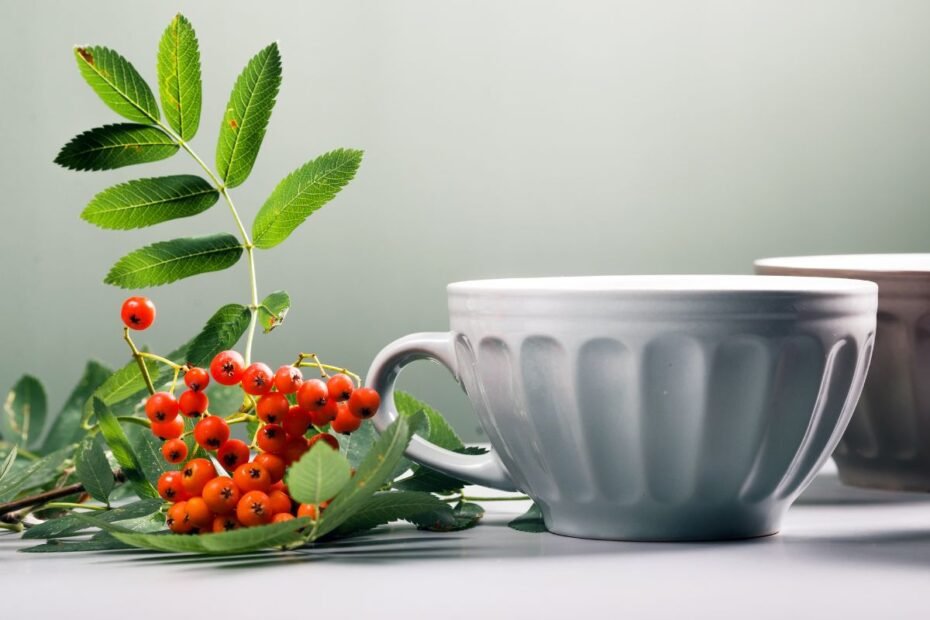 Rowan berry tea
