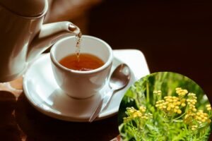 Tansy tea
